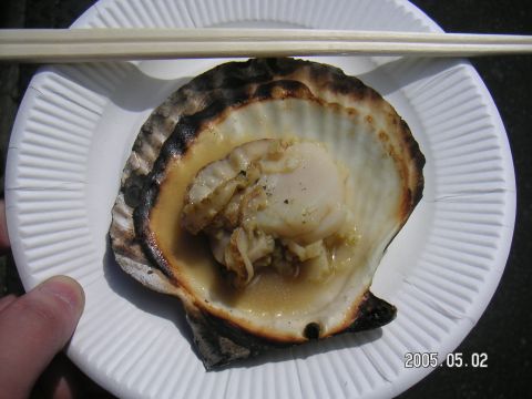 s_pict0092.jpg